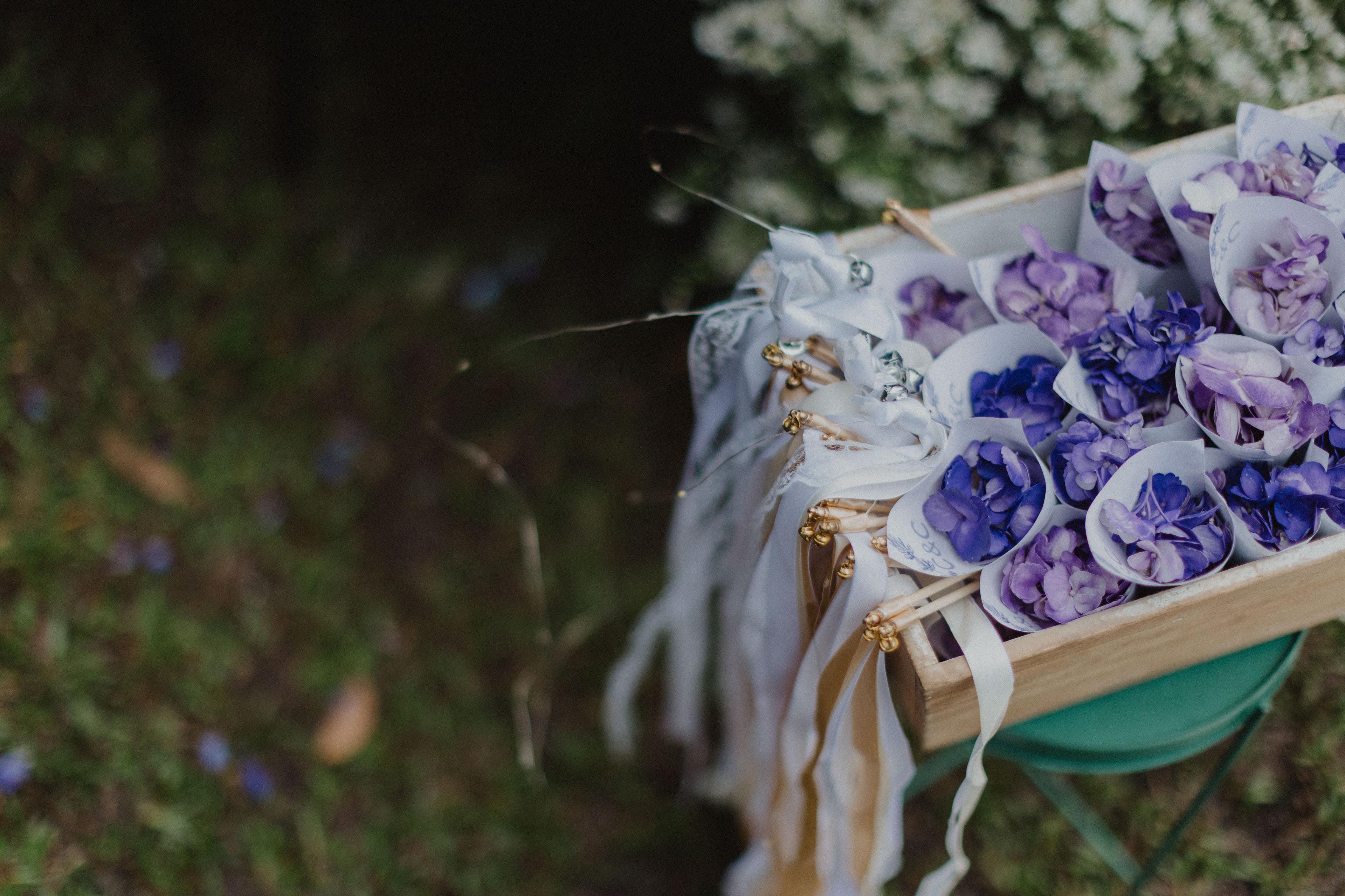 Boda de Cata & Checho